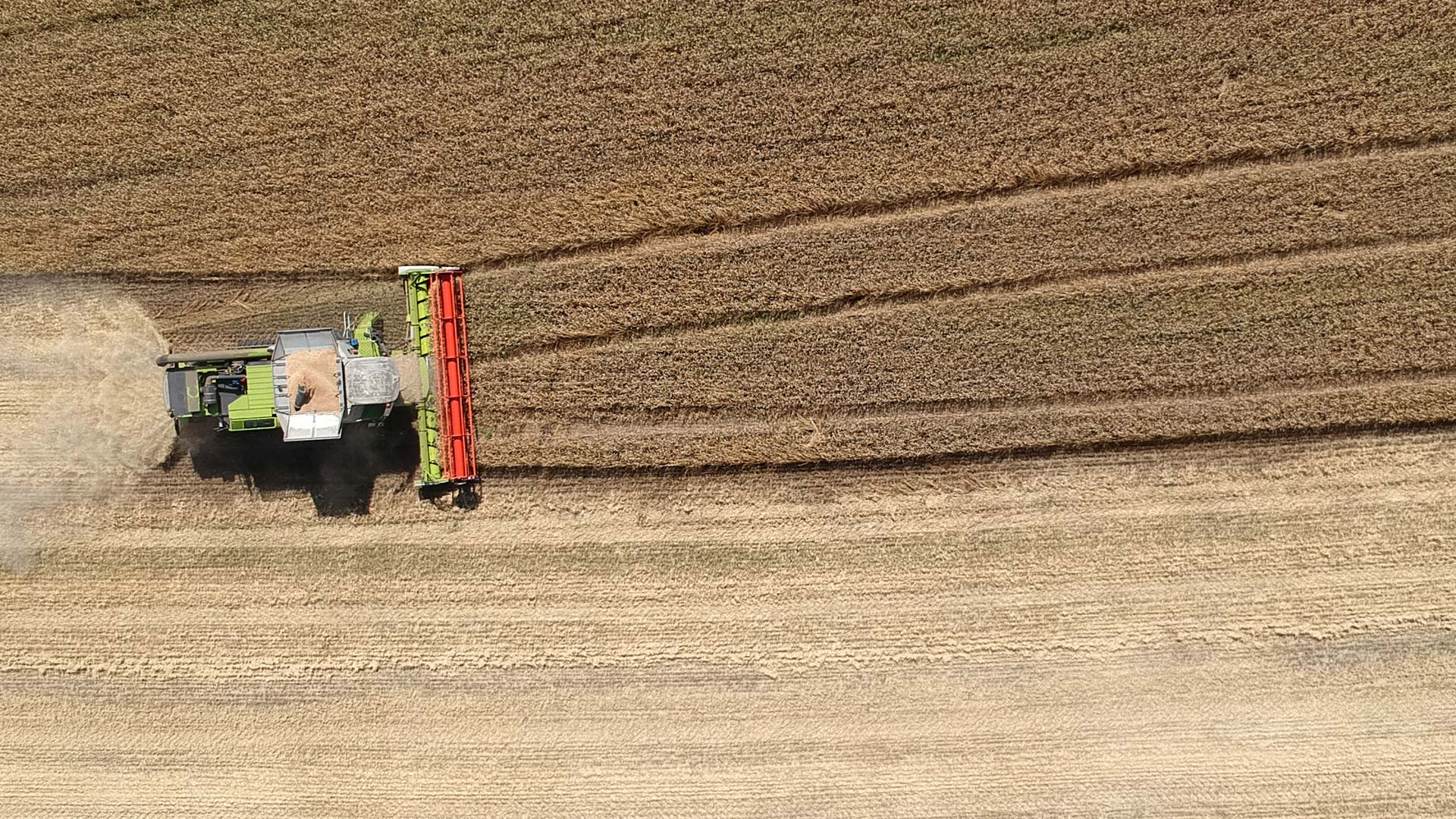 Agricoltura